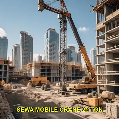 sewa mobile crane 25 ton